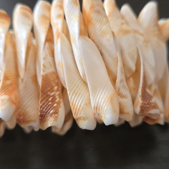 SEASHELL Bracelet WOMEN shells elastic band cream tan off white jewelry unique - Picture 3 of 15